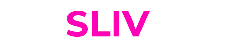 SlivCam.com